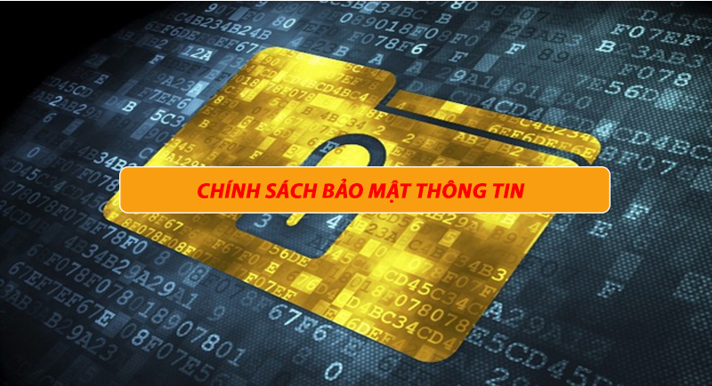 Phạm vi của chính sách bảo mật